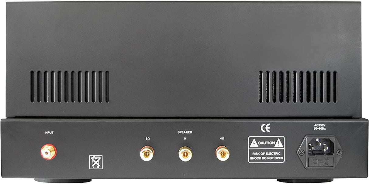 Dynavox VR-80E - Amplificador a válvulas mono, color negro (importado)
