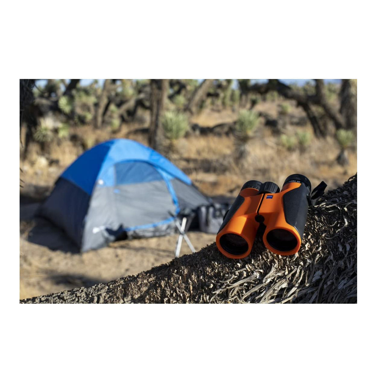 Zeiss Terra ED - Prismáticos de 8 x 42 Pulgadas, edición Limitada, Color Negro y Naranja
