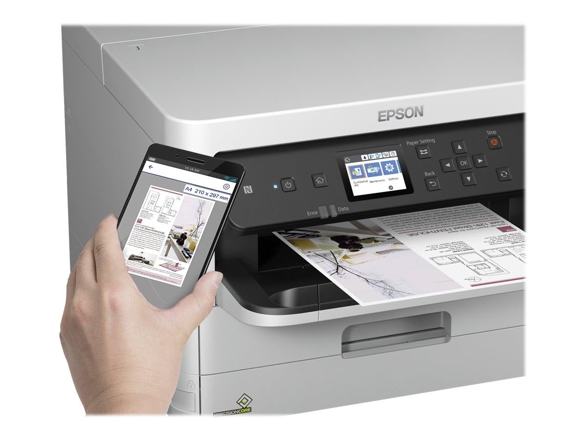 Epson Impresora C11CG79401