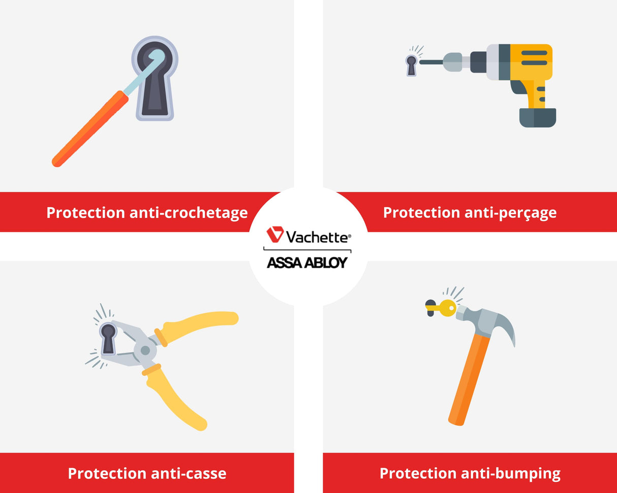 Vachette RADIALis – Cilindro de cerradura desmontable SYNKRO 32,5 x 32,5 mm Inox, seguridad máxima, para puerta exterior, puerta de entrada – 4 llaves no copiables, tarjeta de propiedad