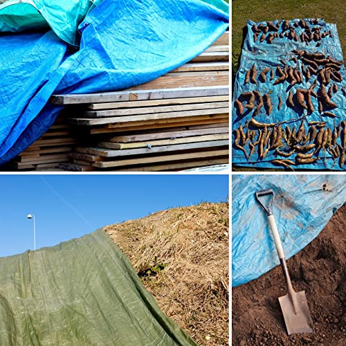 GARDENIX Lona Protectora Multiusos (90 g/m², 12 x 15 m), Color Verde