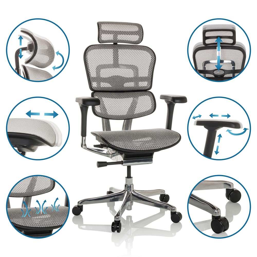 hjh OFFICE Silla de Oficina Silla giratoria ERGOHUMAN GEN2 Malla Diseño Original con Soporte Lumbar Flexible, Gris Claro