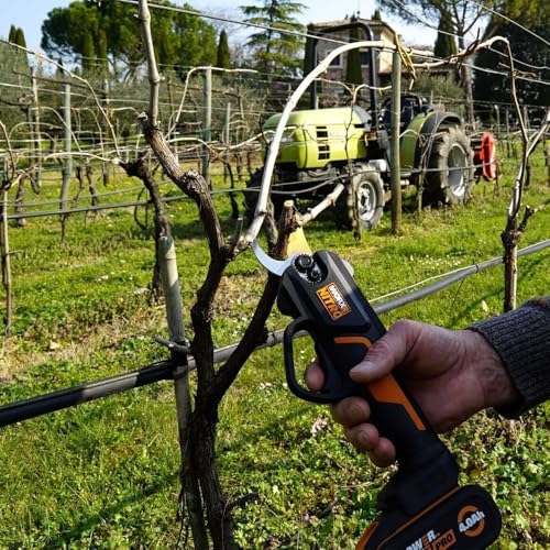 WORX Tijera de poda a batería 20V WORX Nitro | Powershare | WG330E | Incluye 1 batería 2Ah y cargador | Cuchillas de alta resistencia con capacidad de 25mm de corte | Interruptor de seguridad | Ligera