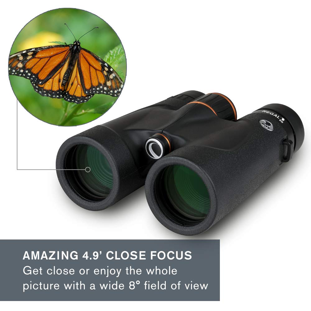 Celestron 71391 Regal ED 10x42: prismáticos para observar Aves y para Exteriores, prismas BaK–4 con Revestimiento de Fase y dieléctrico, óptica Completamente revestida, Foco cercano de 3 m