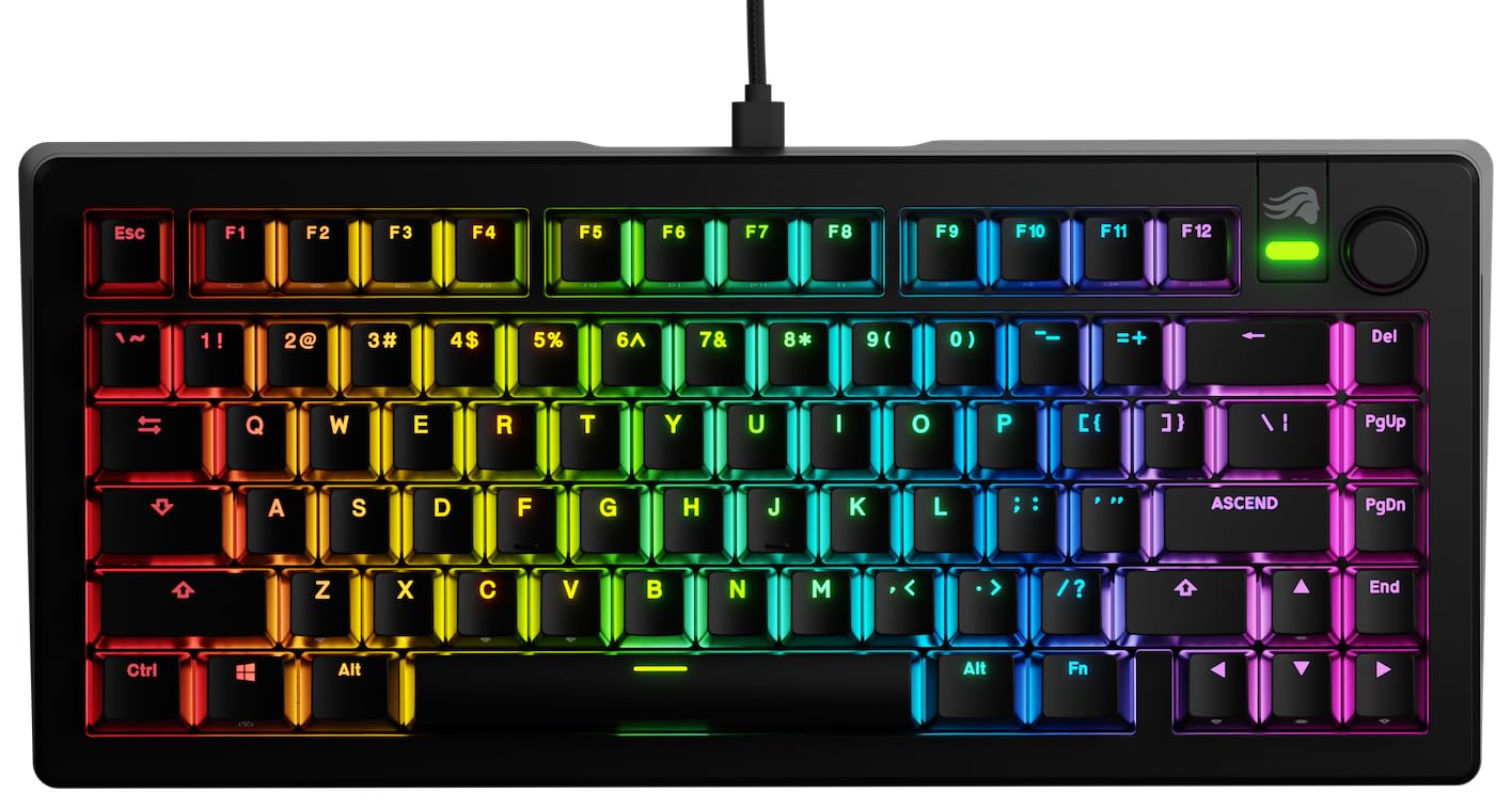 Glorious Gaming GMMK 3 anpassat mekaniskt gamingtangentbord, 75% TKL, modulärt packningssystem, doubleshot PBT-tangenter, aluminiumplatta, utbytbara 3- Och 5-stiftsbrytare, USA QWERTY - Svart