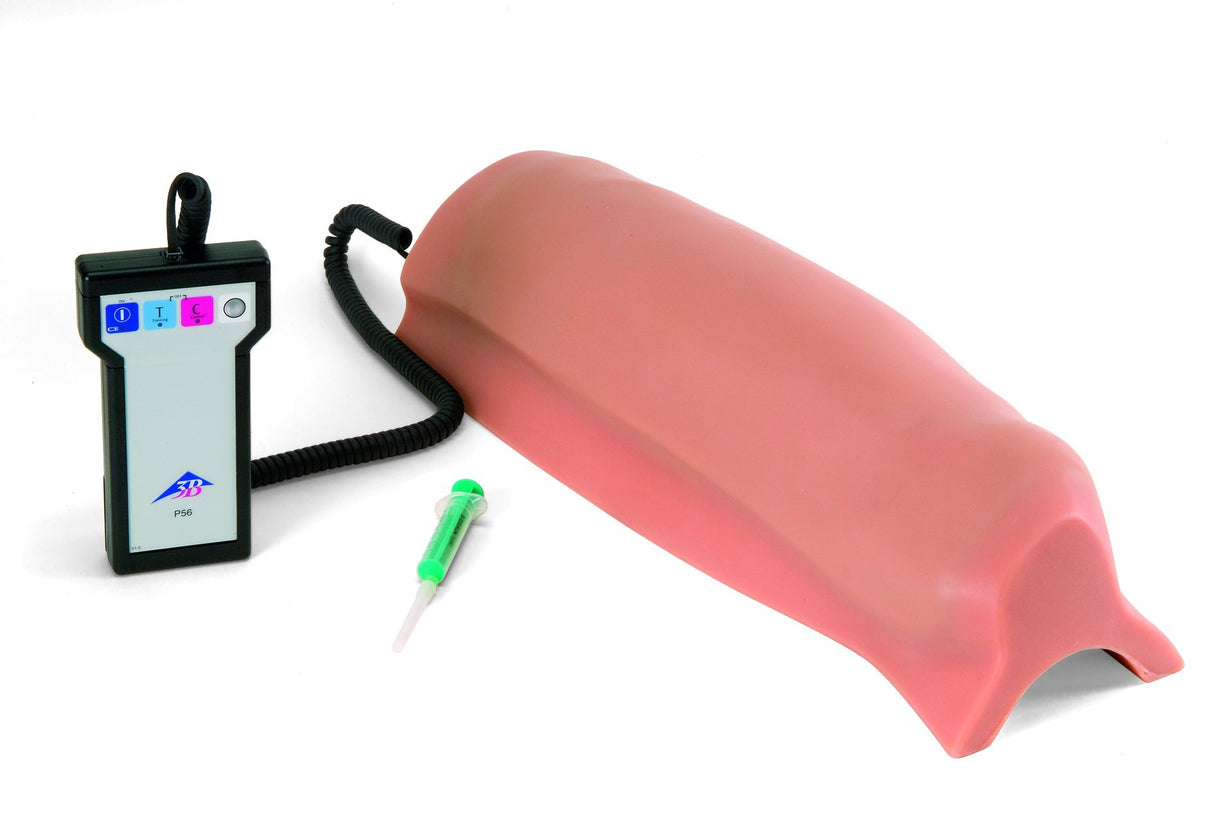 3B Scientific P56 Simulador de Inyección Intramuscular, Muslo