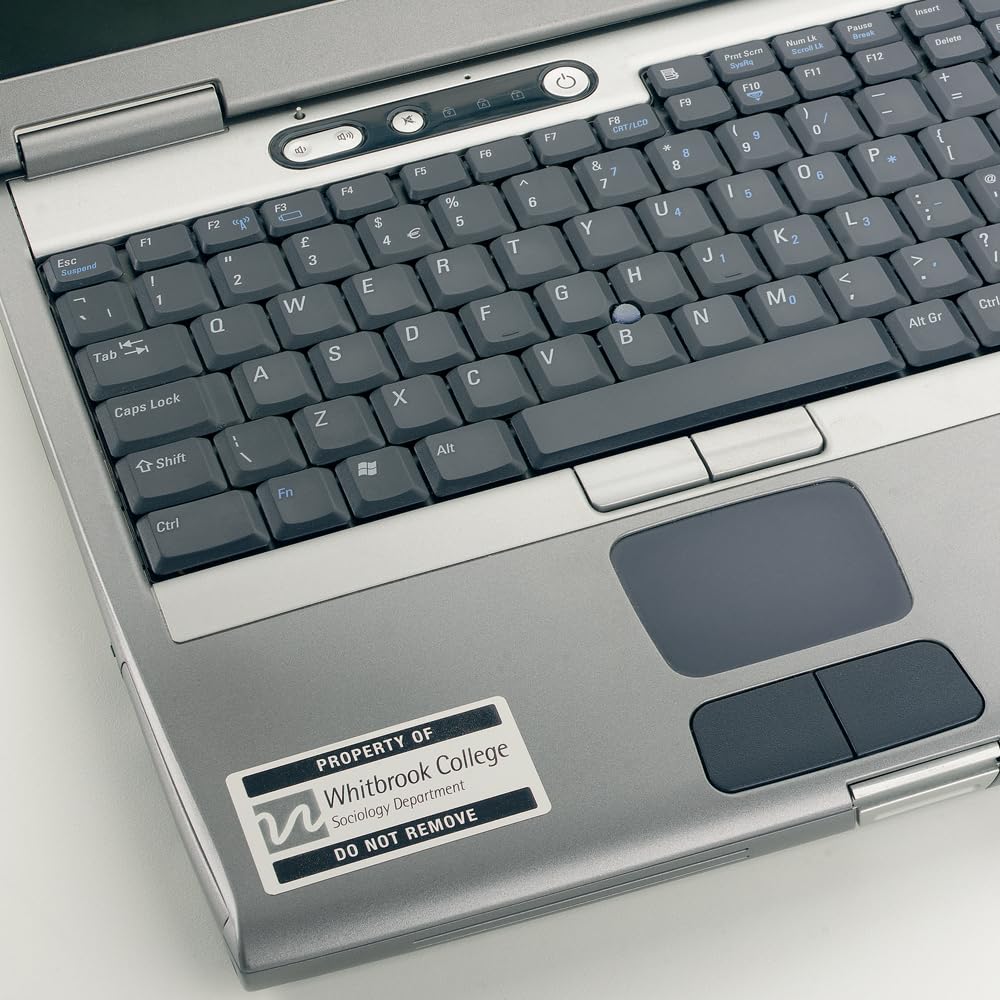 Avery España L6009-100, Etiquetas adhesivas plateadas resistentes intemperie y agua, 45,7x21,2mm, caja de 4800 etiquetas