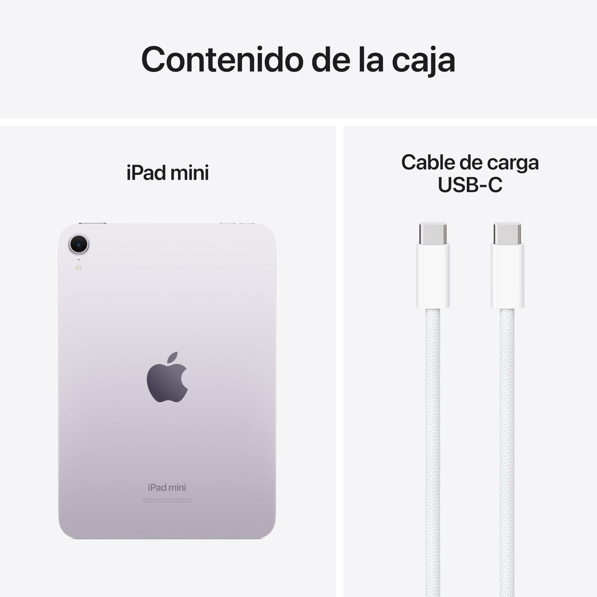 Apple iPad Mini (A17 Pro): Pantalla Liquid Retina de 8,3 Pulgadas, 256 GB, Wi Fi 6E, cámaras Frontal y Trasera de 12 Mpx, Touch ID, autonomía para un día Entero – Púrpura