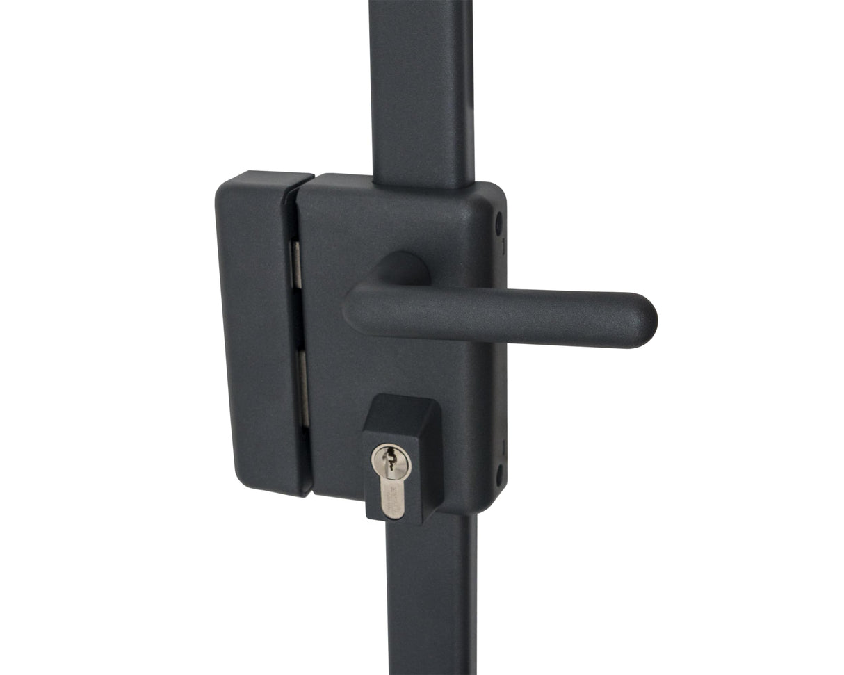 Vachette - Cerradura de aplique multipunto, vertical con asa, multiblinde serie 8800, tiro izquierdo, certificado A2P, alta seguridad, 3 puntos de cierre, 4 llaves VIP+ patentadas incluidas, gris
