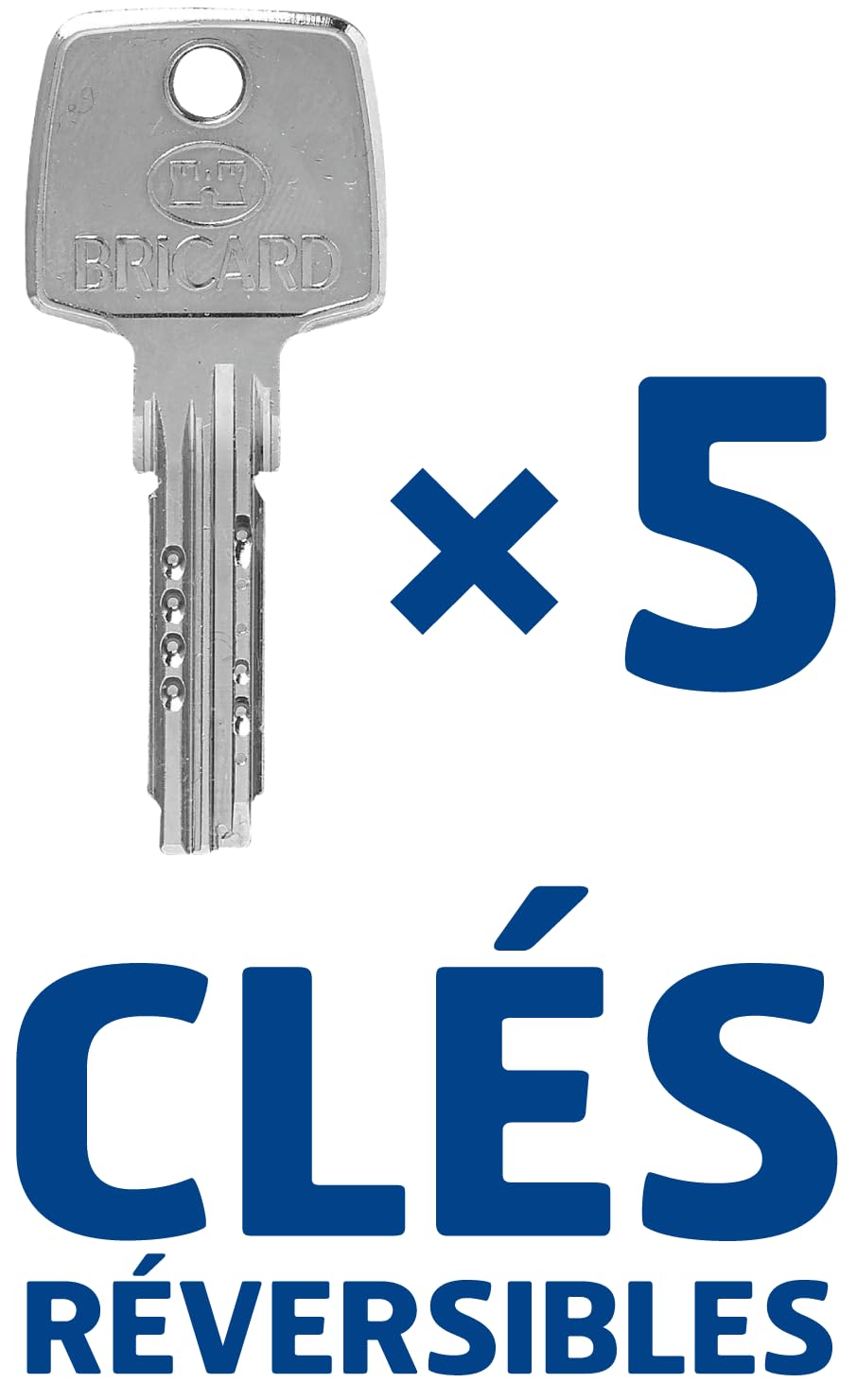 Bricard 74621 - Cerradura vertical multipunto, 3 puntos, blanco, tiro recto, fabricado en Francia