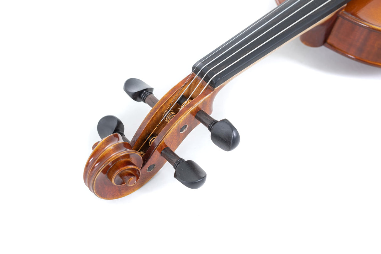 GEWA Maestro 1 VL 3, 1/2 listo para jugar, incluye estuche de violín, arco de carbono y cuerdas Larsen Aurora