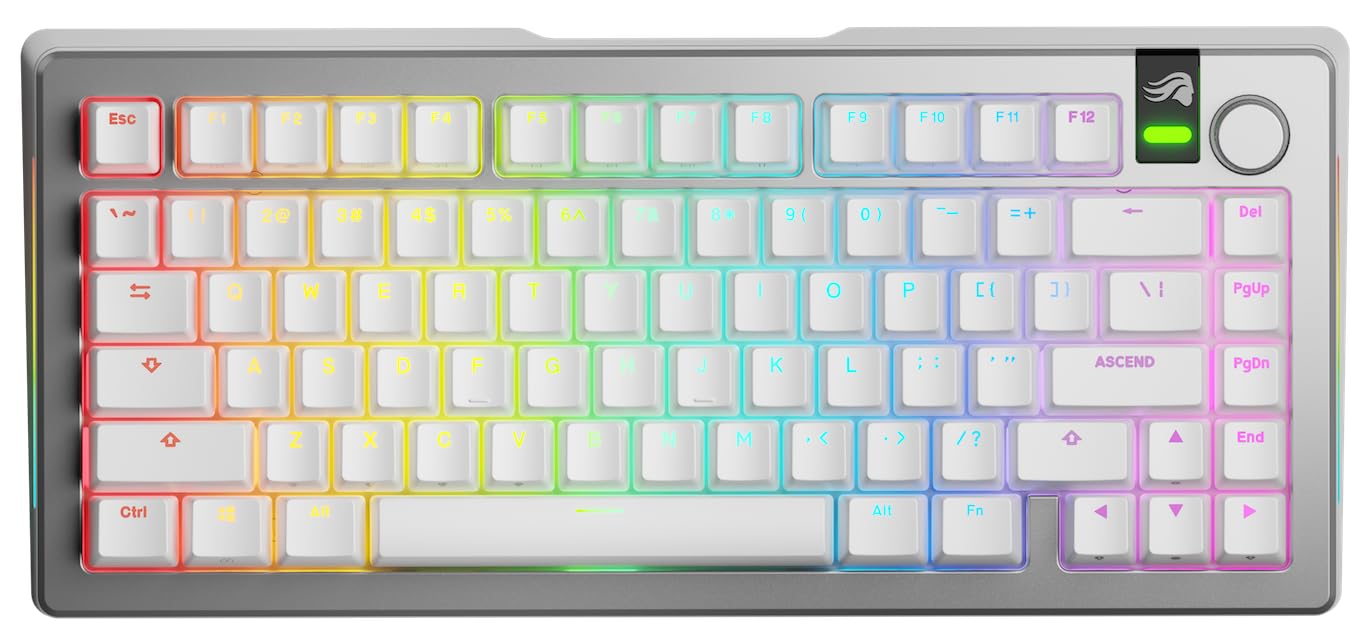 Glorious Gaming GMMK 3 Pro trådlöst mekaniskt tangentbord, Bluetooth Och 2,4 GHz, utbytbara MX-brytare, modulärt aluminiumhölje Och packningssystem, doubleshot-tangenter, 75% TKL, USA QWERTY - Silver