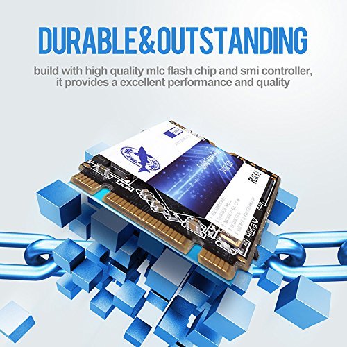 Dogfish m.2 2242 1TB Ngff Unidad De Estado Sólido Incorporada Altura de Alta Velocidad Unidad de Disco Duro de Alto Rendimiento para computadora portátil de Escritorio(1TB, m.2 2242)