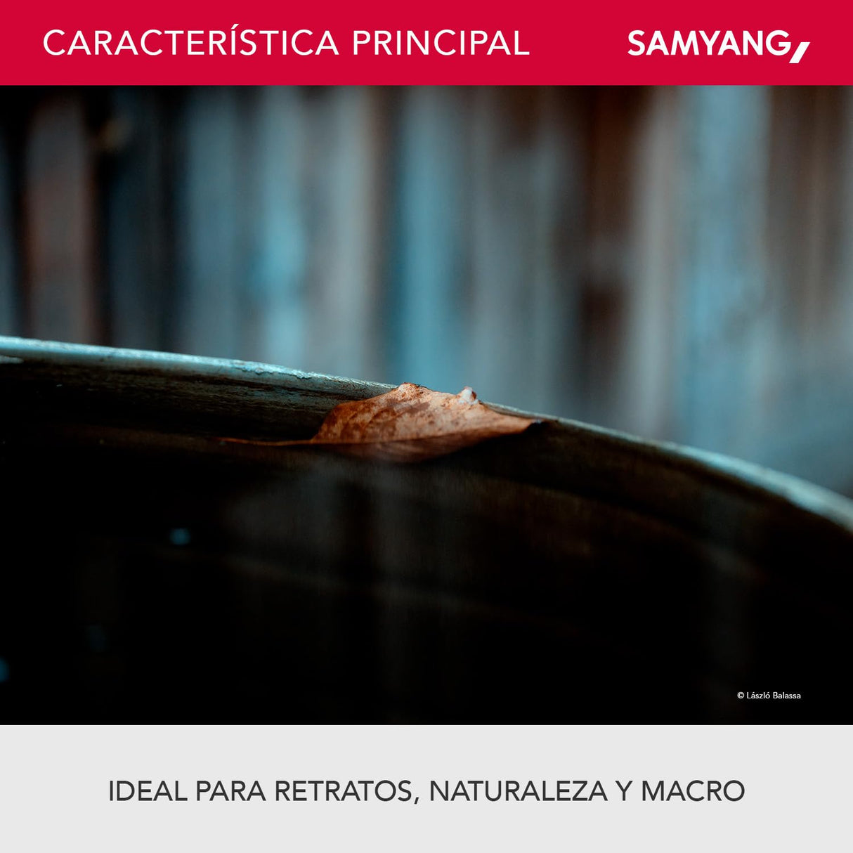 Samyang F1312306101 - Objetivo para vídeo VDSLR para Sony E T3.1 AS IF UMC II (Distancia Focal Fija 100mm, diámetro Filtro: 67mm), Negro
