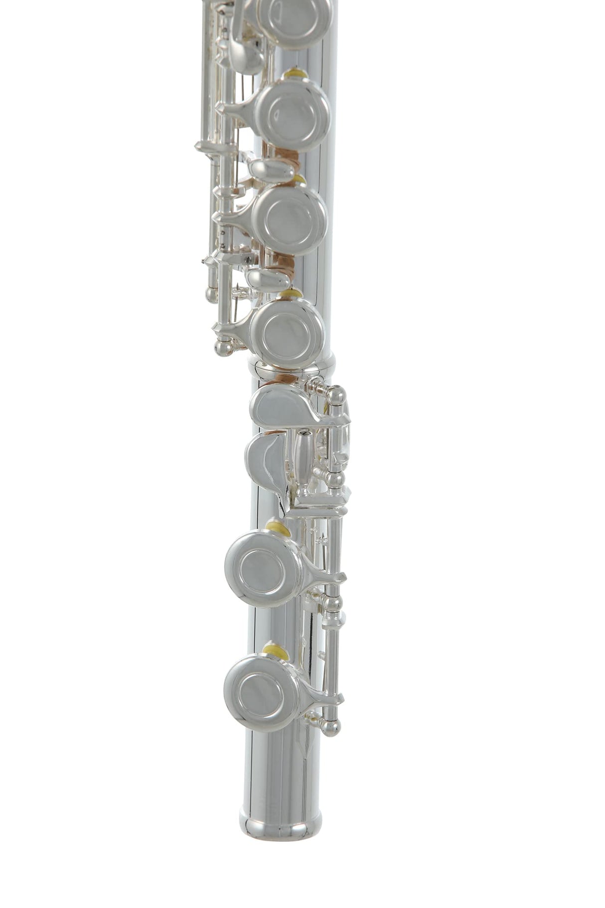 Roy Benson Flauta Travesera FL-402E2 (Diseño de cabeza doble, recta y curva, chapado en plata niquelada, incluye mecanismo E, Offset-G y accesorios de primera calidad, para flautistas ambiciosos)
