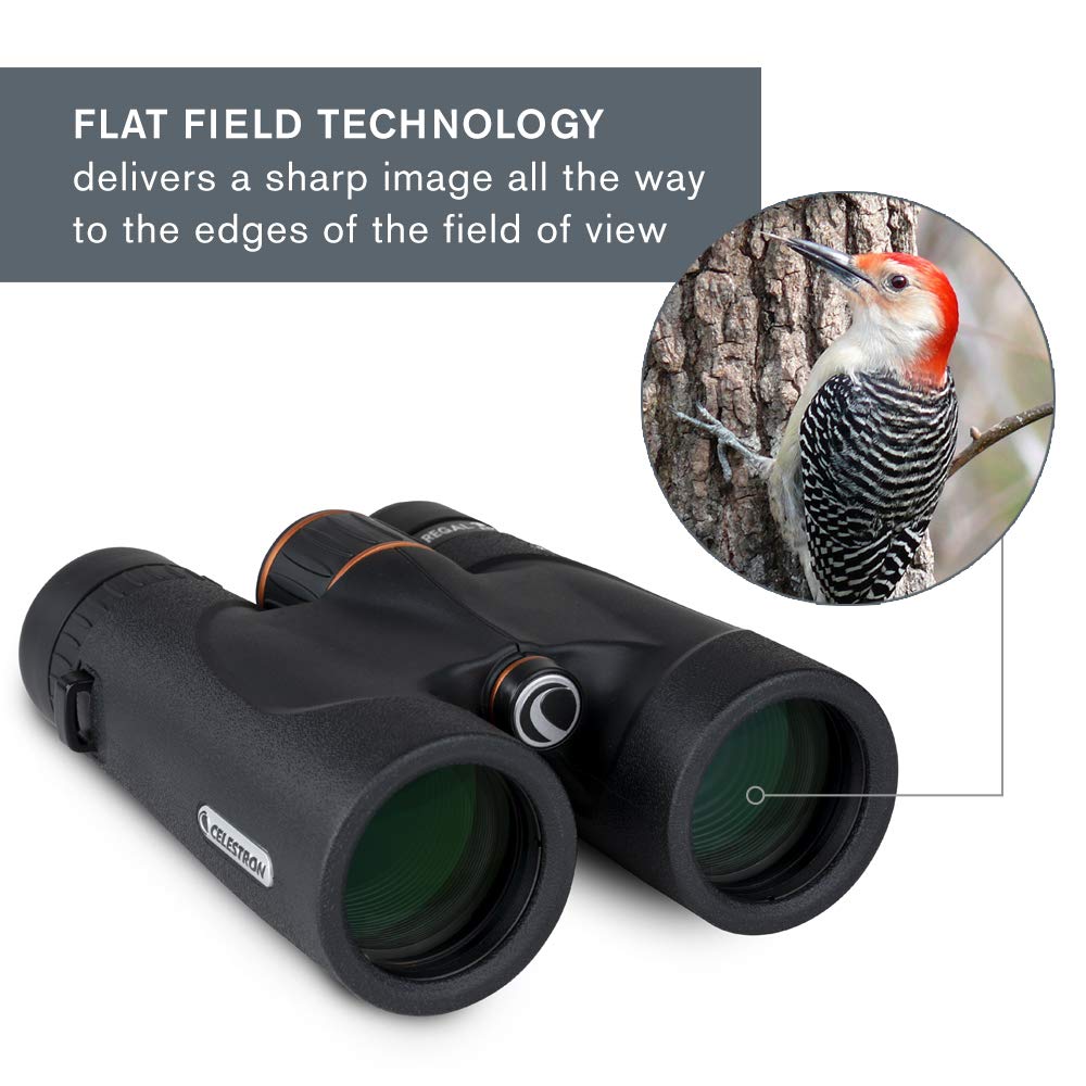 Celestron 71391 Regal ED 10x42: prismáticos para observar Aves y para Exteriores, prismas BaK–4 con Revestimiento de Fase y dieléctrico, óptica Completamente revestida, Foco cercano de 3 m