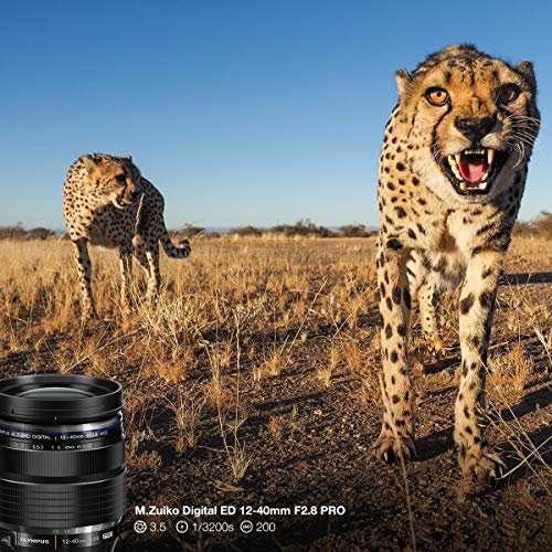 Olympus OM-D E-M5 Mark II Kit, Micro Four Thirds System Camera (16.1 MP, 5-Axis Image Stabilisation, Electronic Viewfinder) + M.Zuiko 12-40mm PRO Universal Zoom + Power Battery Holder & Battery, Black