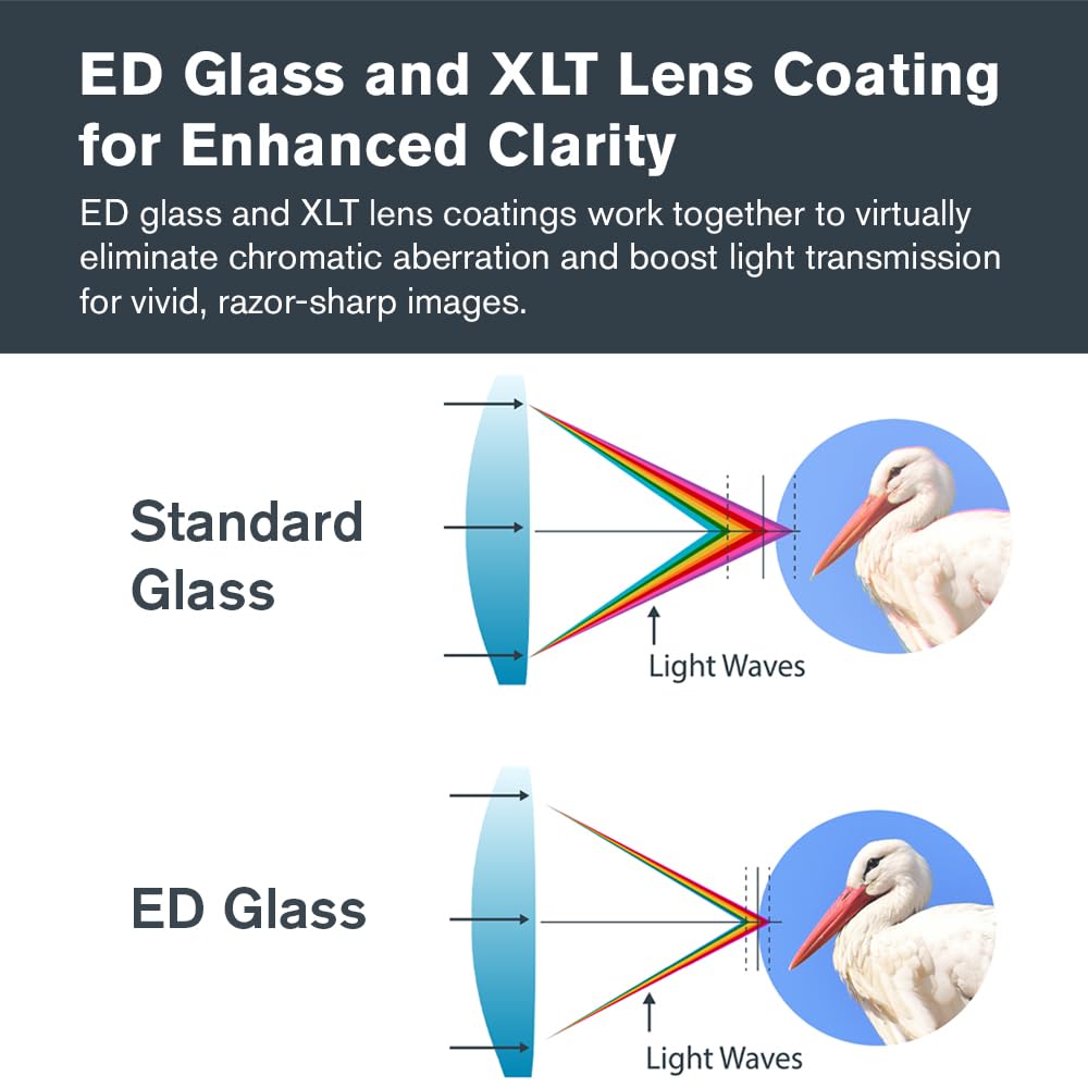 Celestron 52305 Regal M2 80ED: catalejo