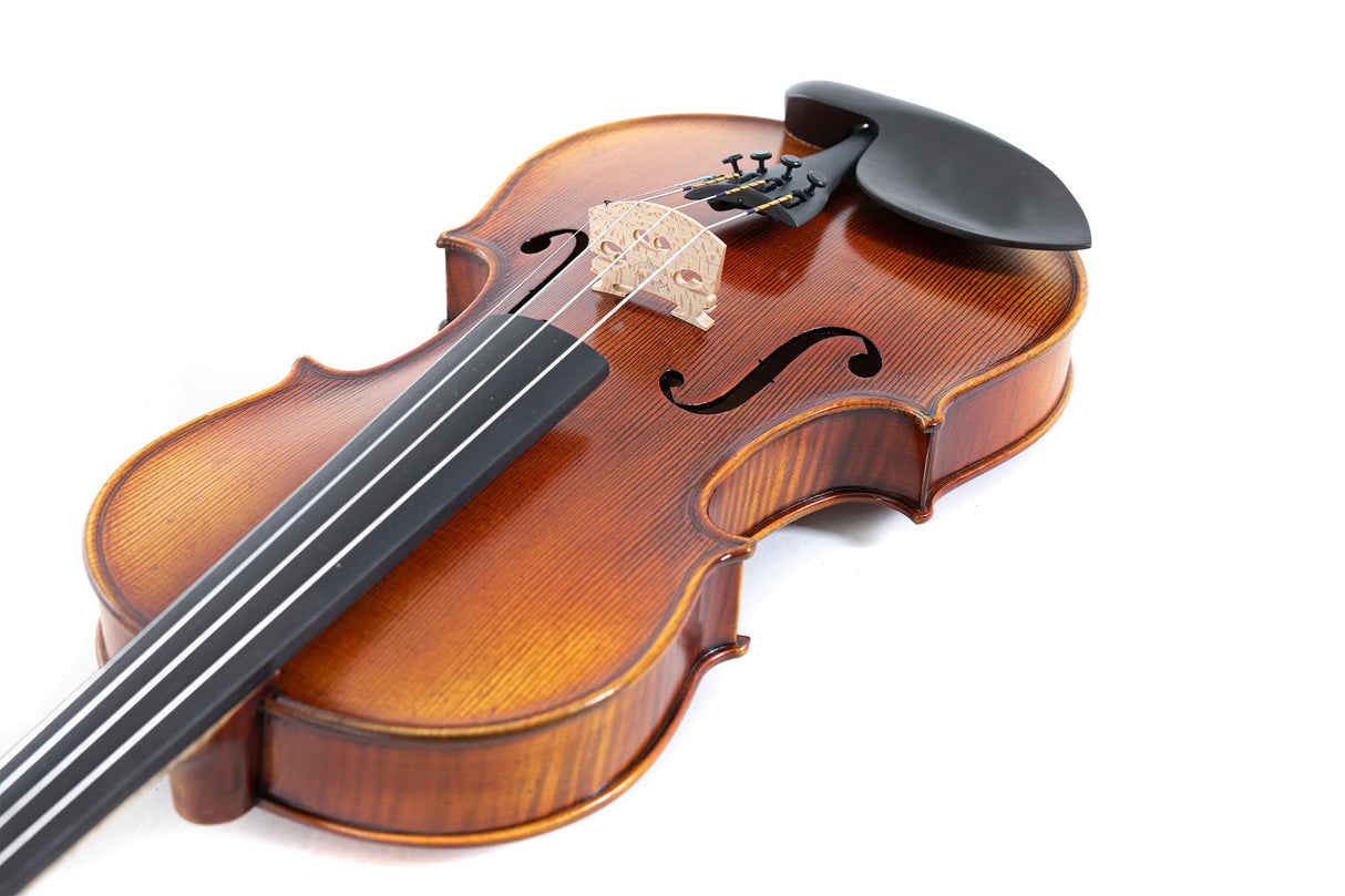 GEWA Violín serie Maestro 2 VL 4, 1/2 listo para jugar, incluye formetui, arco Massaranduba y cuerdas Larsen Aurora