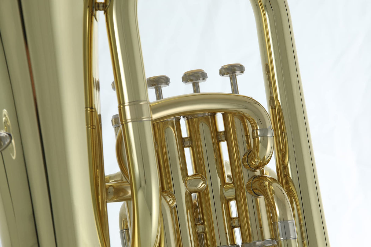 Roy Benson Bb-Euphonium EP-303 (Instrumento de viento profesional, con tudel de latón dorado, correderas exteriores de alpaca, válvulas de acero inoxidable, con estuche de forma cómoda)