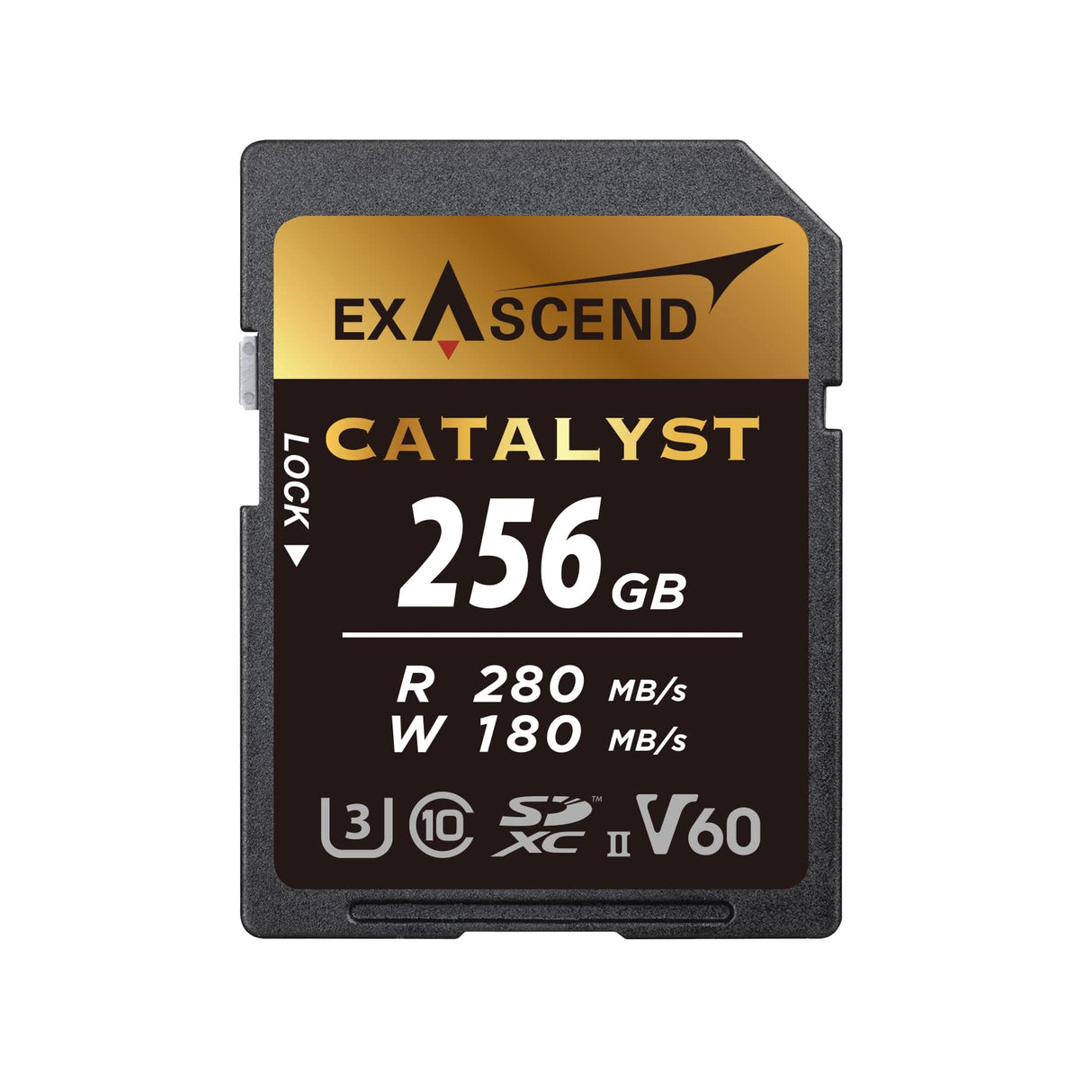 Exascend Catalyst - Tarjeta de Memoria SDXC UHS-II V60 de 256 GB 4K UHD de hasta 180 MB/s velocidades de Escritura, UHS-II, Clase 10, U3, V60