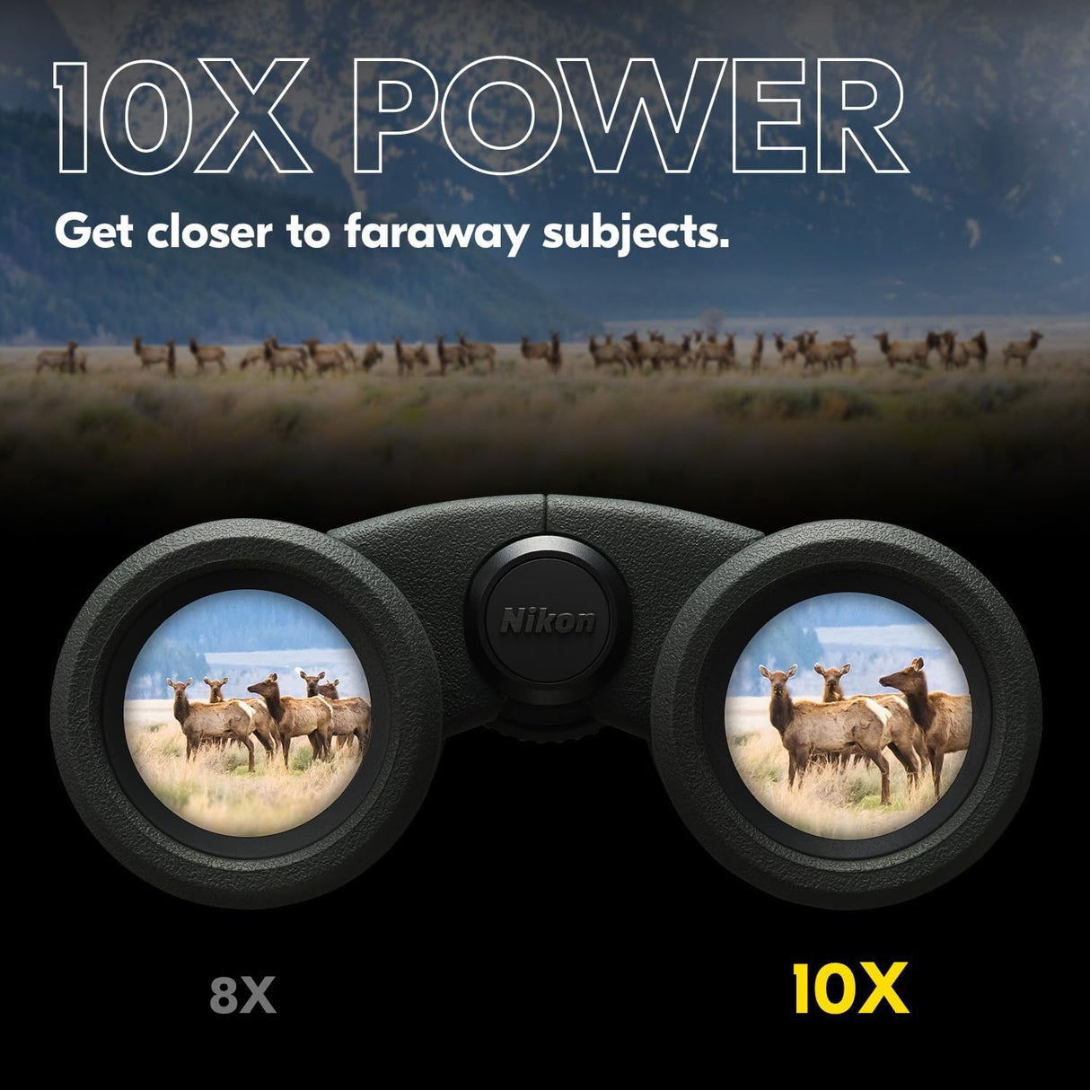 PROSTAFF P3 10x30 - Prismáticos Nikon compactos Impermeables, a Prueba de Niebla, Recubrimiento de Goma, Amplio Campo de visión y Alivio de Ojos Duradero| Modelo Oficial Nikon EE. UU