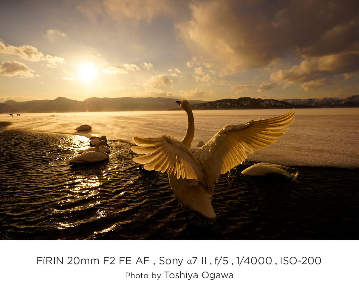 Tokina Firin AF - Objetivo Angular 20 mm AF, Color Negro