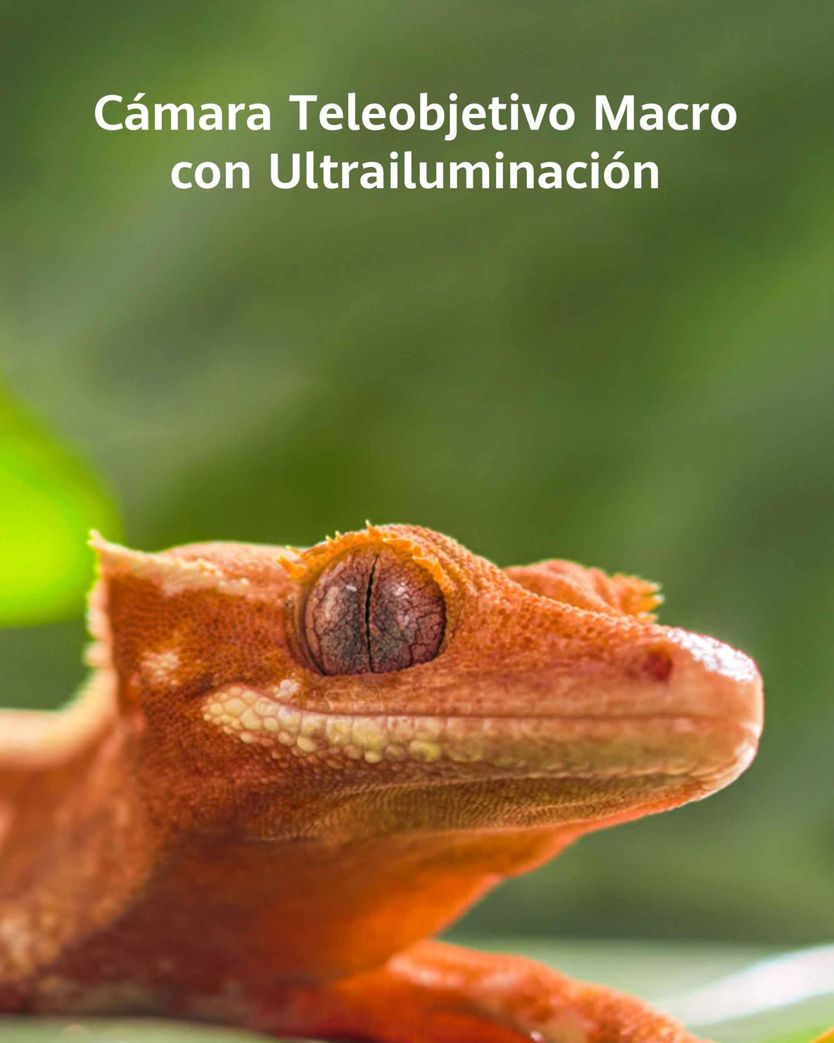 HUAWEI Pura 80 Pro Smartphone Móvil, 12 GB+512 GB, Ultra Chroma con Sensor de 1 Pulgada, Cámara Teleobjetivo Macro con Ultrailuminación, Cancelación de Ruido Mediante IA, 5170 mAh, Blanco