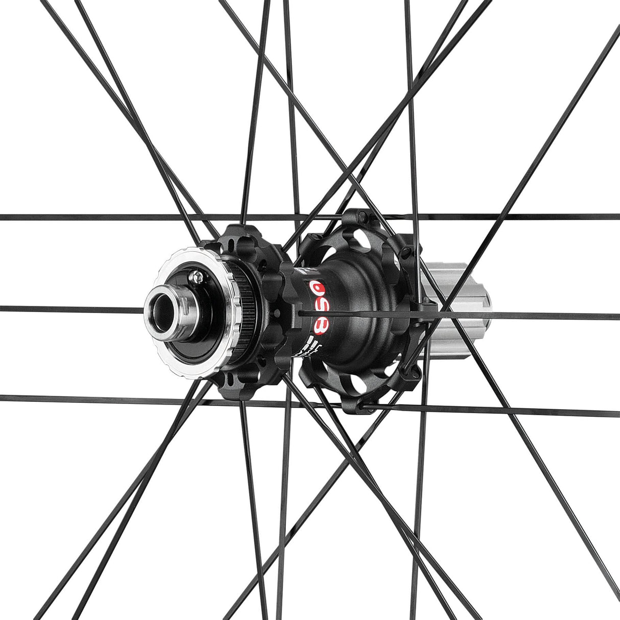 Campagnolo Bora One 50 Rueda de neumático, Adultos Unisex, Bright Label, Talla única