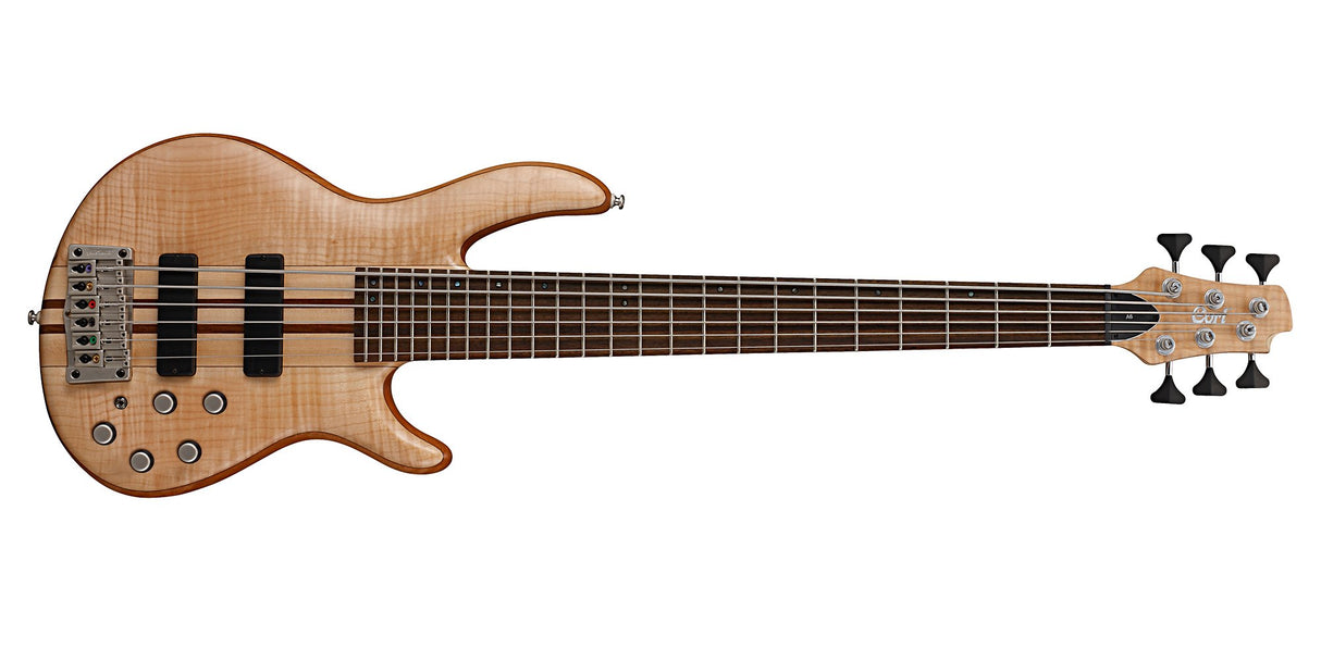 Bajo de 6 cuerdas, diseño moderno con doble cutaway