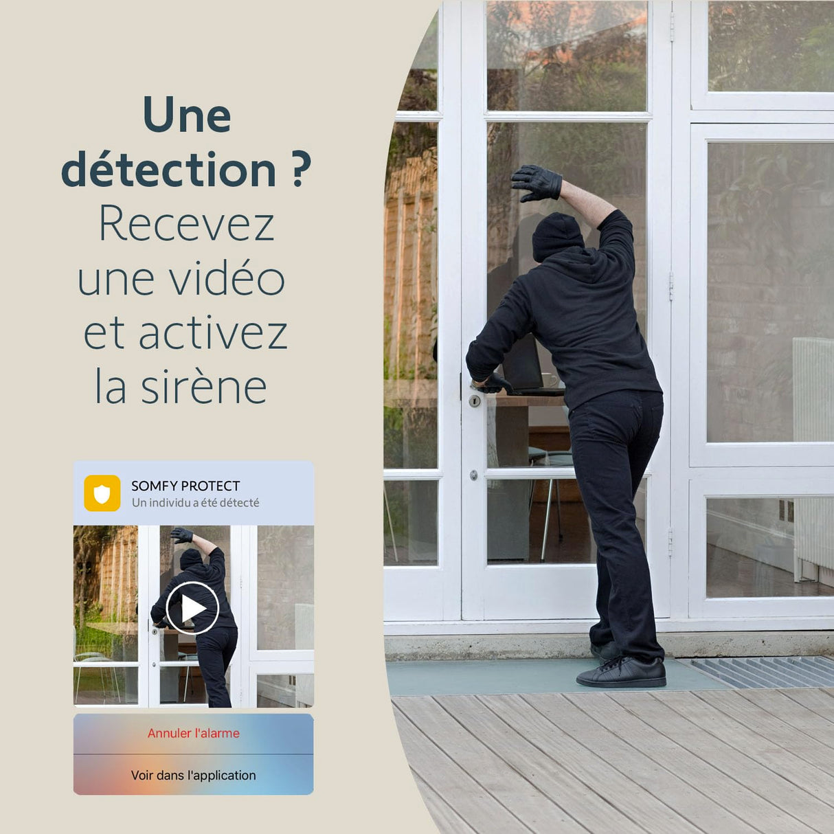 somfy 1875341 - Pack de 2 cámaras al Aire Libre 2 Grises, cámaras con detección de Movimiento Inteligente, Sirena integrada de 110 DB, conexión Posible en una luminaria existente, imágenes Full HD