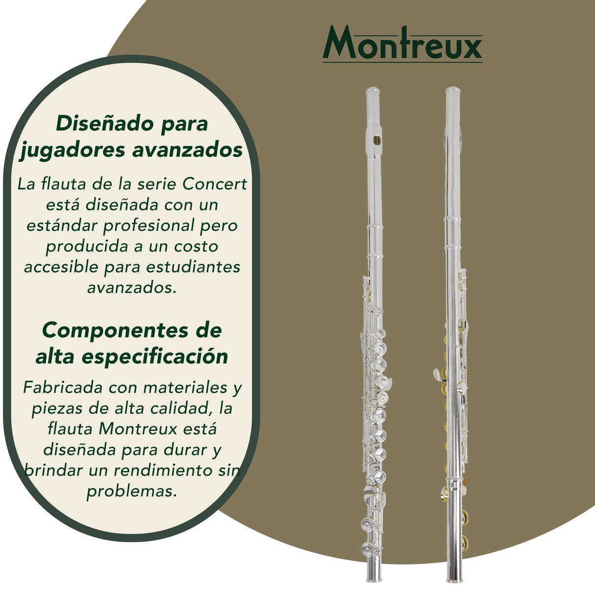 Montreux Concert Series Intermediate Advanced Flauta Con Placa Labial De La Articulación De La Cabeza De Plata Sólida,Premium Y Bolsa De Transporte - Cuerpo Plateado, Offset G, Mecanismo Dividido,PieC