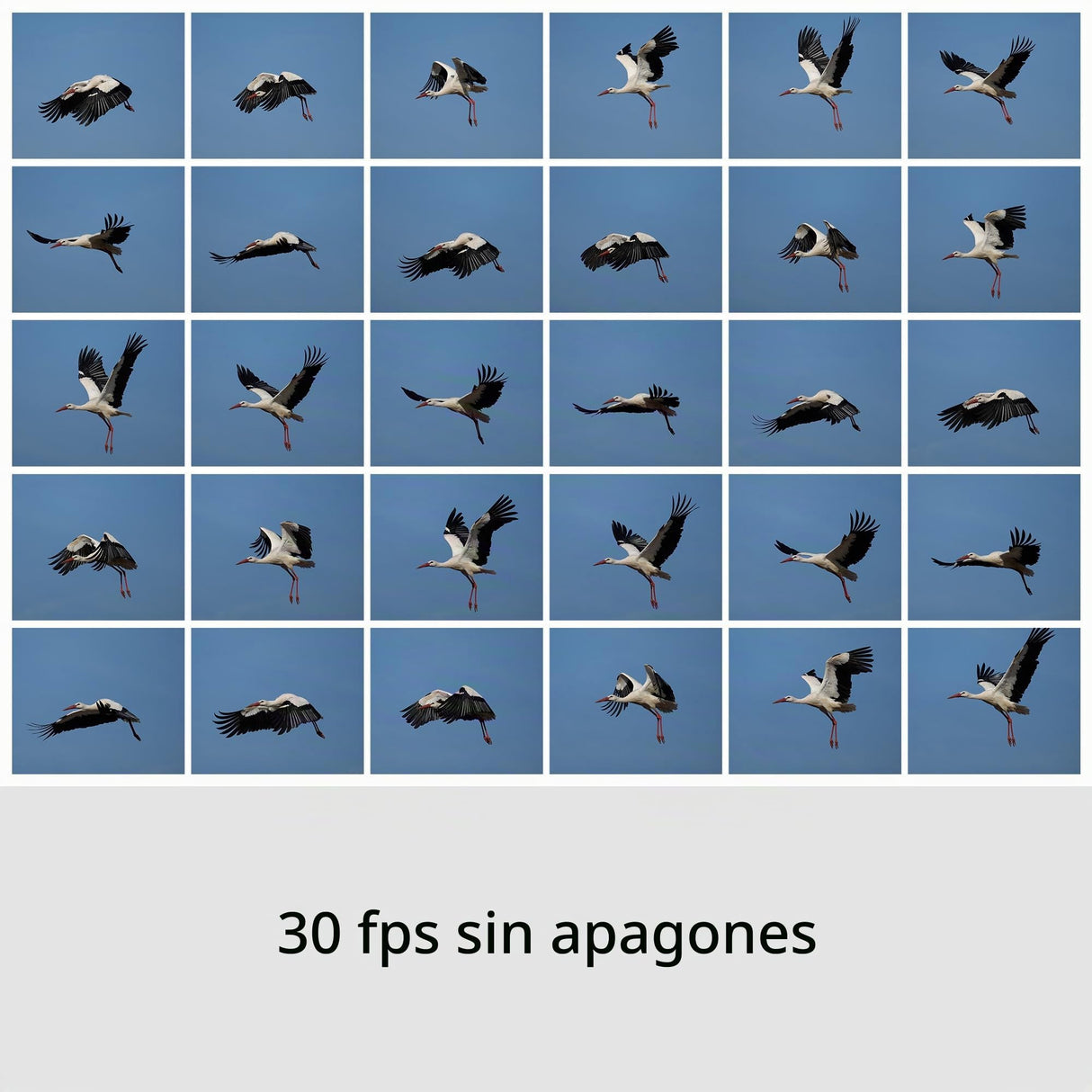 Sony RX10 V | Cámara con Zoom de Alto Rendimiento (24-600 mm)