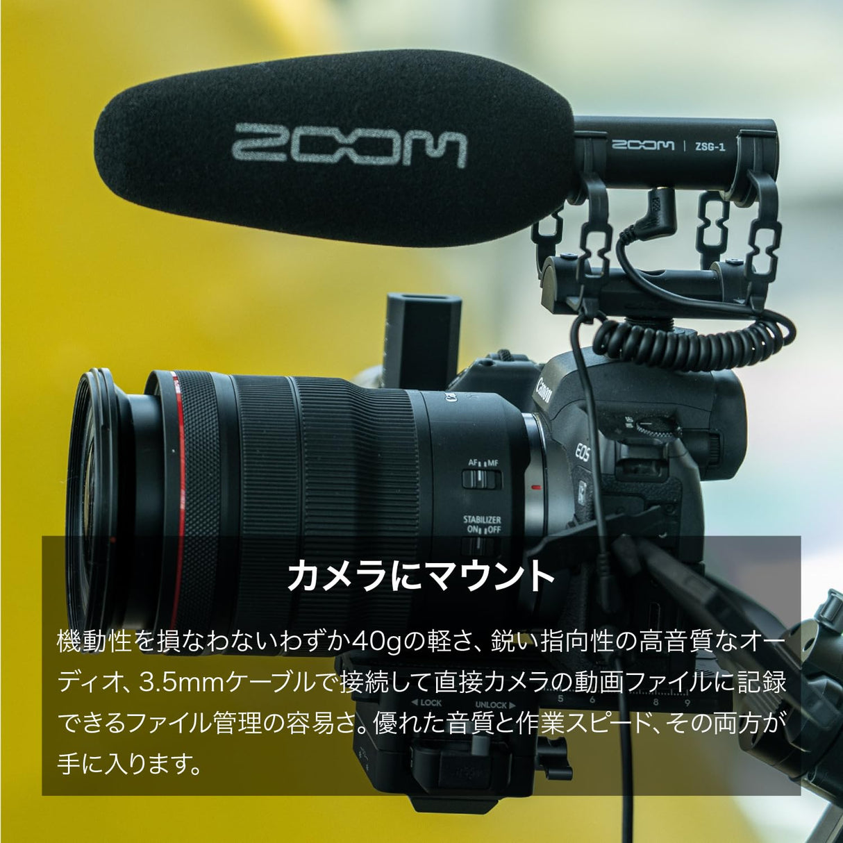 Zoom ZSG-1 - Micrófono direccional para cámaras y smartphones, color negro