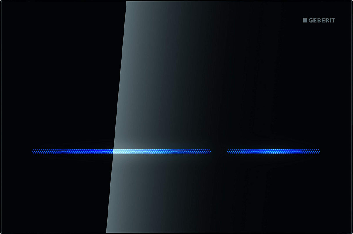 Geberit - Pulsador Geberit Sigma80, Para Doble Volumen De Descarga: Vidrio Negro (242.618.SG.1)