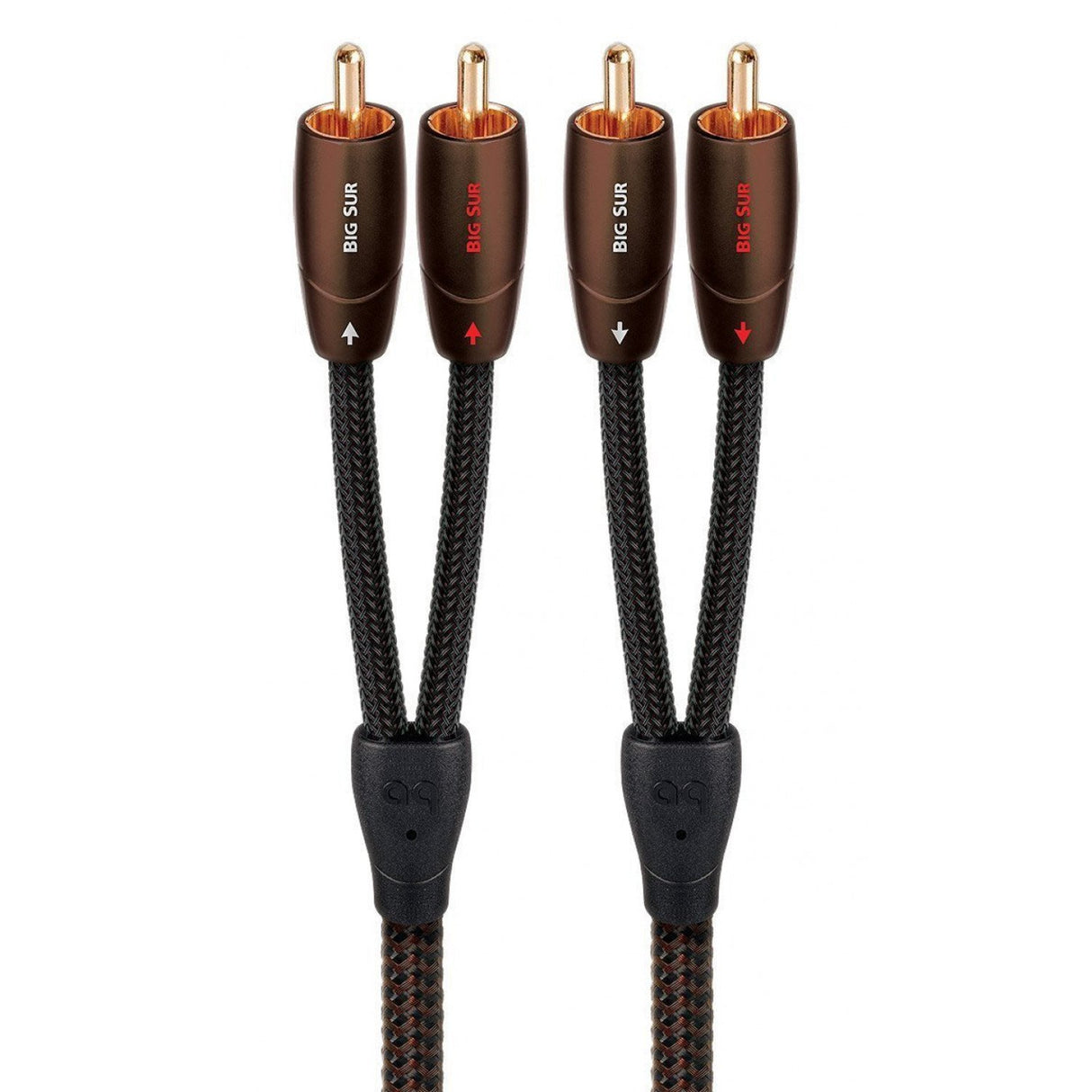 20.0M BIG SUR RCA-RCA