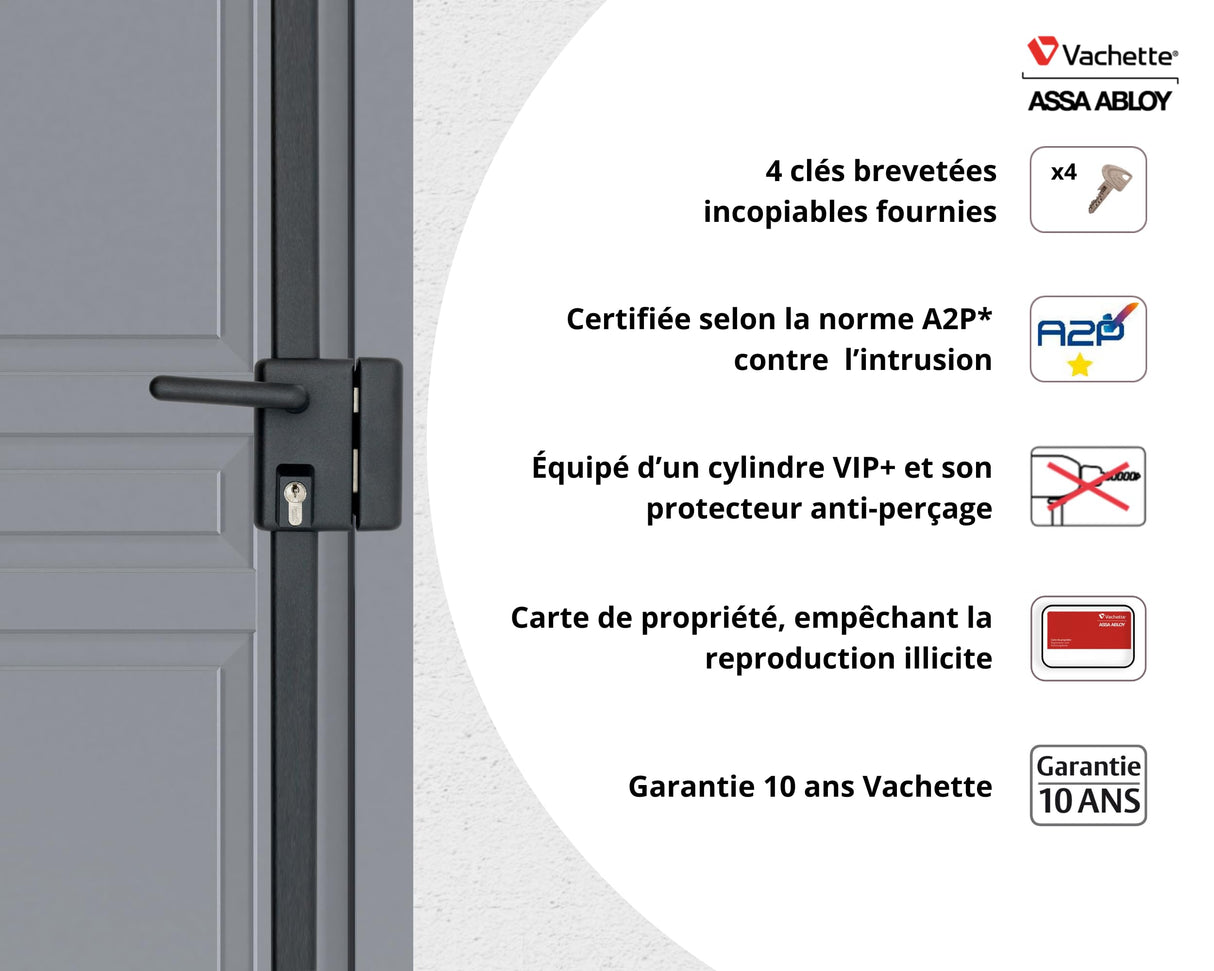Vachette - Cerradura de aplique multipunto, vertical con asa, multiblinde serie 8800, tiro derecho, certificado A2P, alta seguridad, 3 puntos de cierre, 4 llaves VIP+ patentadas incluidas, gris