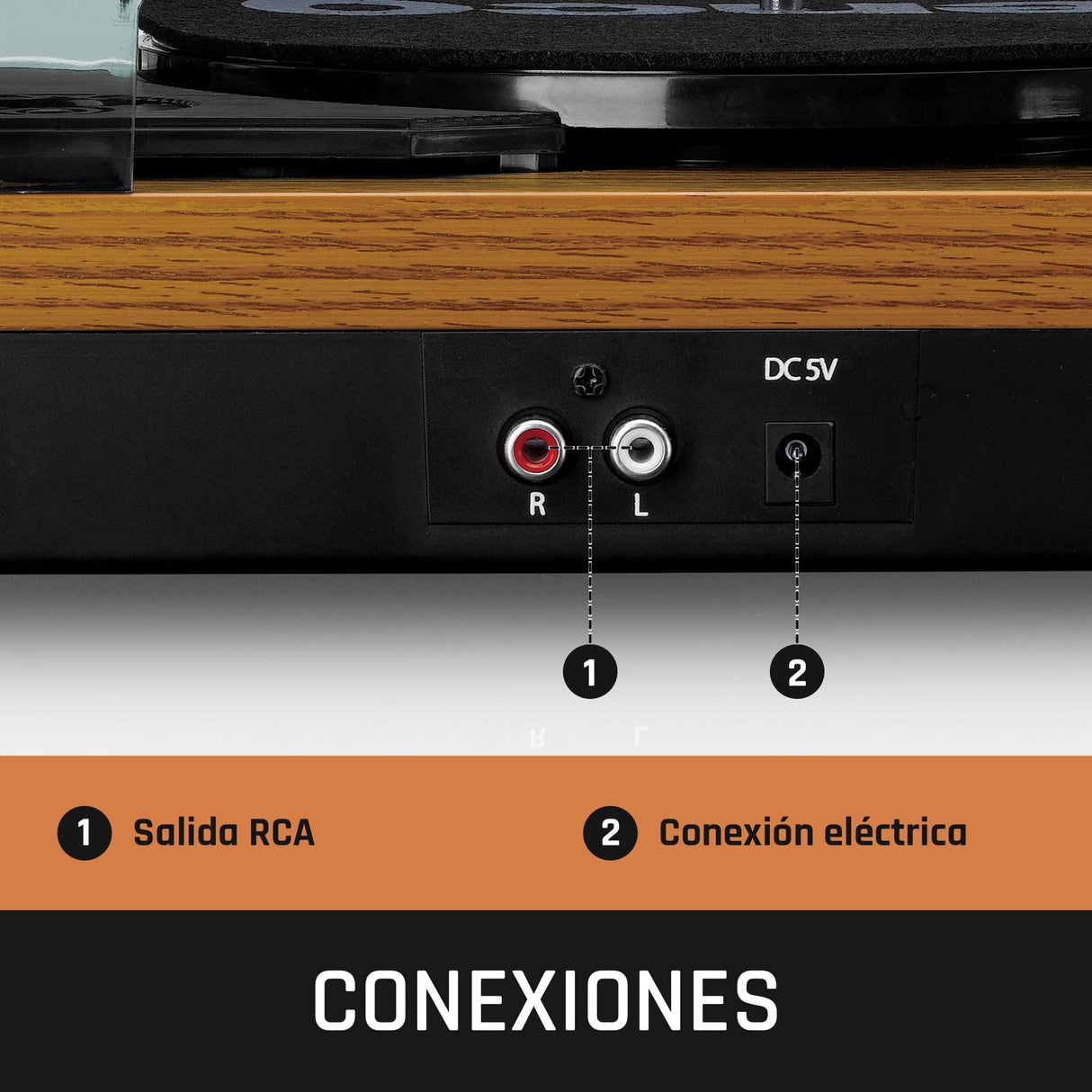 Lenco LS-10 Holz, Tocadiscos