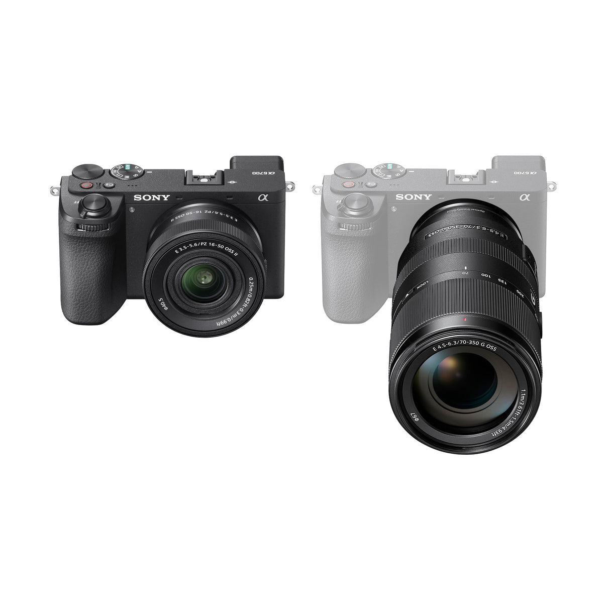 Kit Sony Alpha 6700 para fotografía de Fauna (APS-C) con Objetivos 16-50 II y 70-350 mm