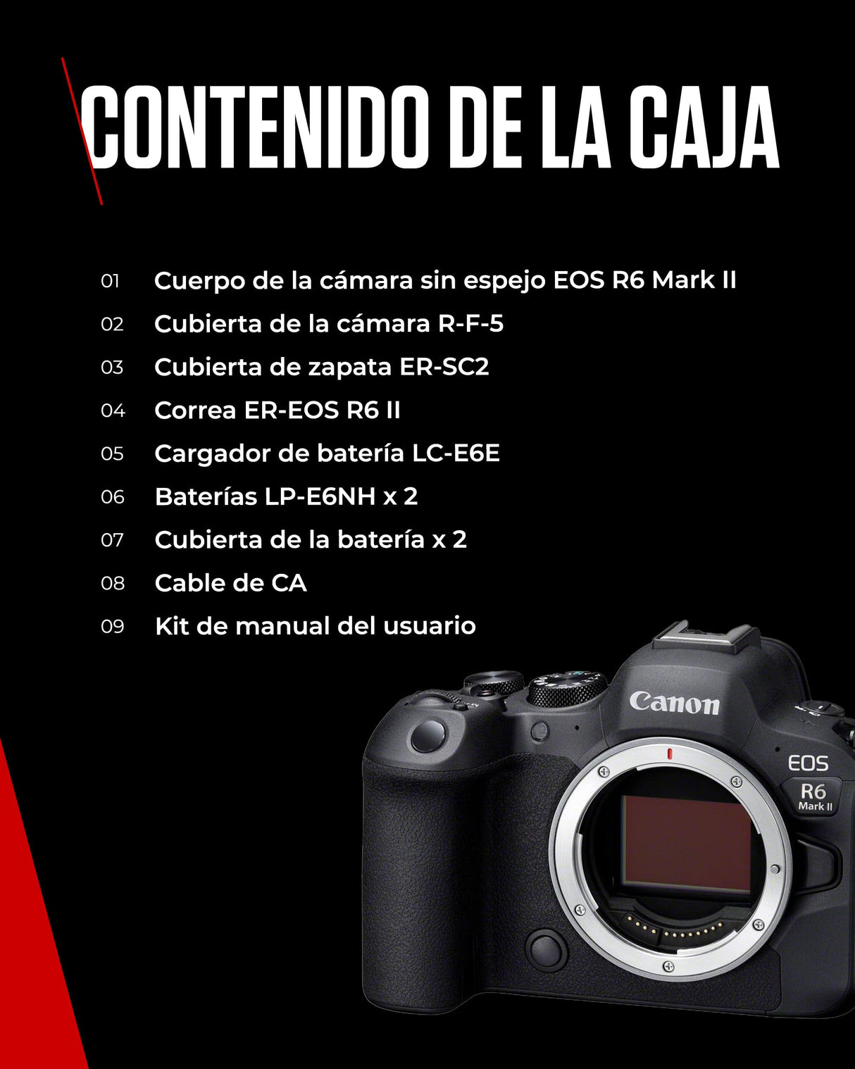 Canon EOS R6 Mark II Full Frame Mirrorless Body Solo + 2X Baterías (Kit de Batería Adicional) | 24,2 megapíxeles, 4K 60p, IS de hasta 8 Pasos y Enfoque automático Dual Pixel CMOS Auto Focus II