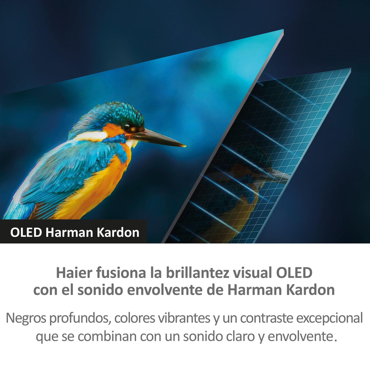 Haier OLED Harman Kardon 4K UHD H55C900UX - 55", Smart TV, Google TV, Dolby Atmos y Dolby Vision, HDR 10, Smart Remote Control, Google Assistant, Bluetooth 5.1, DBX TV, HDMI 2.1 x 4, Sin Marcos, 2024