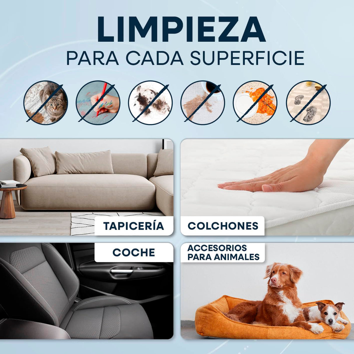 CLEANmaxx Limpiador de tapicería y alfombras Pro Steam | 3 en 1: limpiador de tapicería, limpiador de puntos, limpiador de manchas con tecnología de agua caliente y vapor para alfombras, coches