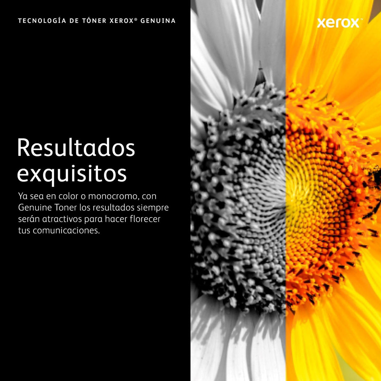 Xerox Original Versalink C7020 / C7025 / C7030 Cartucho De Residuos (30,000 Páginas) - 115R00128