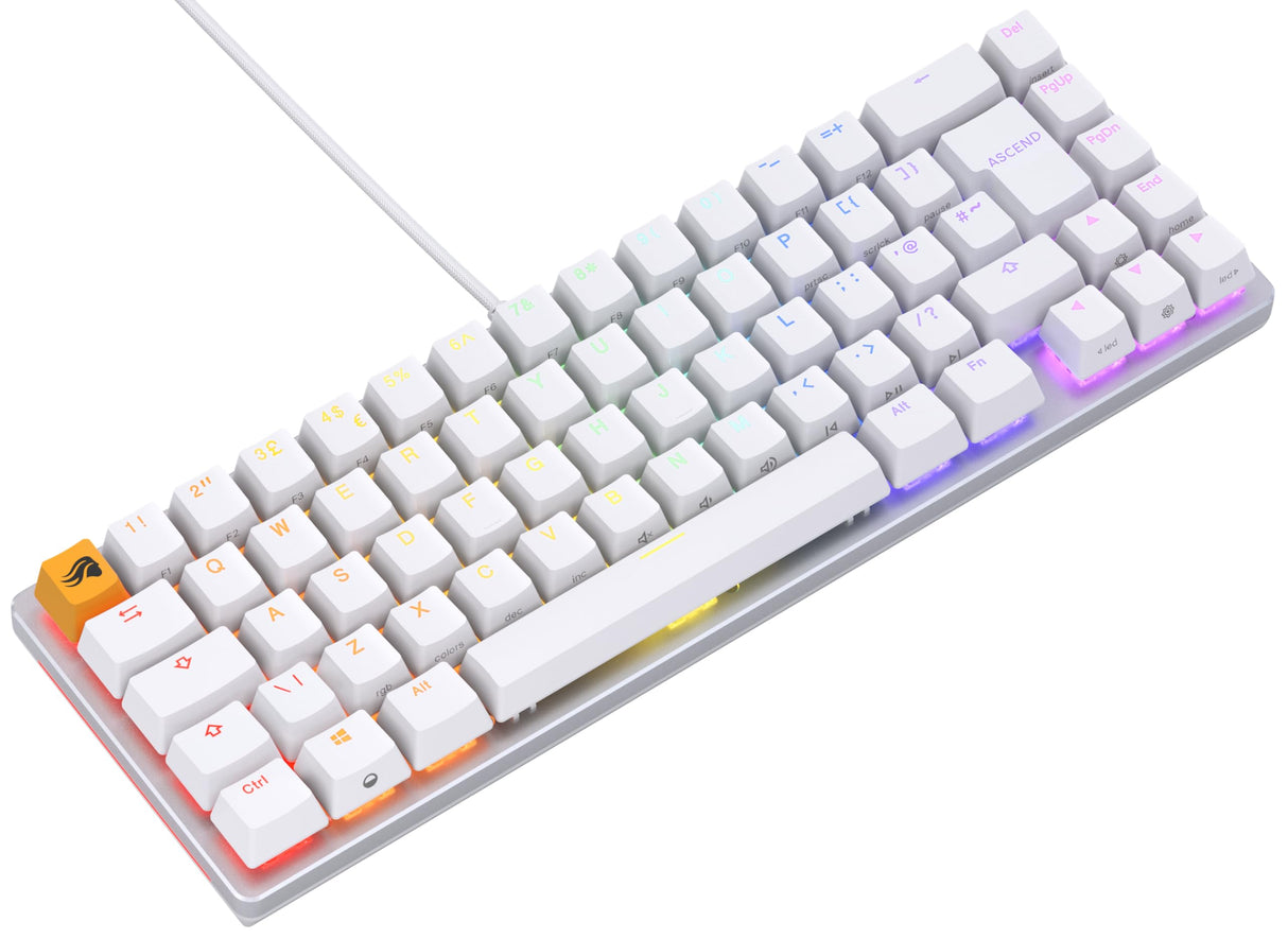 Glorious Gaming GMMK 2 Compact 65% - Teclado gaming mecánico, compacto TKL 65%, carcasa de aluminio, personalizable, keycaps dobles, switches Fox, RGB, distribuciones QWERTY inglés - Blanco