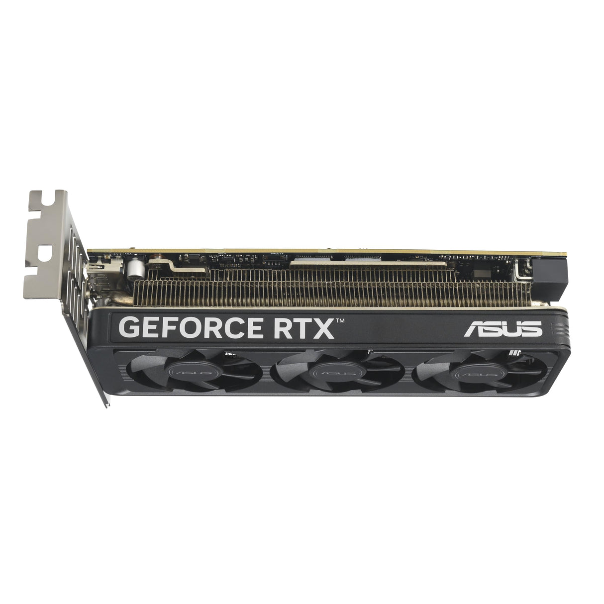 ASUS Tarjeta gráfica GeForce RTX 5060 LP BRK 8 GB GDDR7 OC Edition Low Profile Gaming (NVIDIA Blackwell Arquitectura FP4 y DLSS 4, PCIe 5.0, 2 x HDMI 2.1, 1 x DisplayPort 2.1a, RTX5060-O8G-LP-BRK)