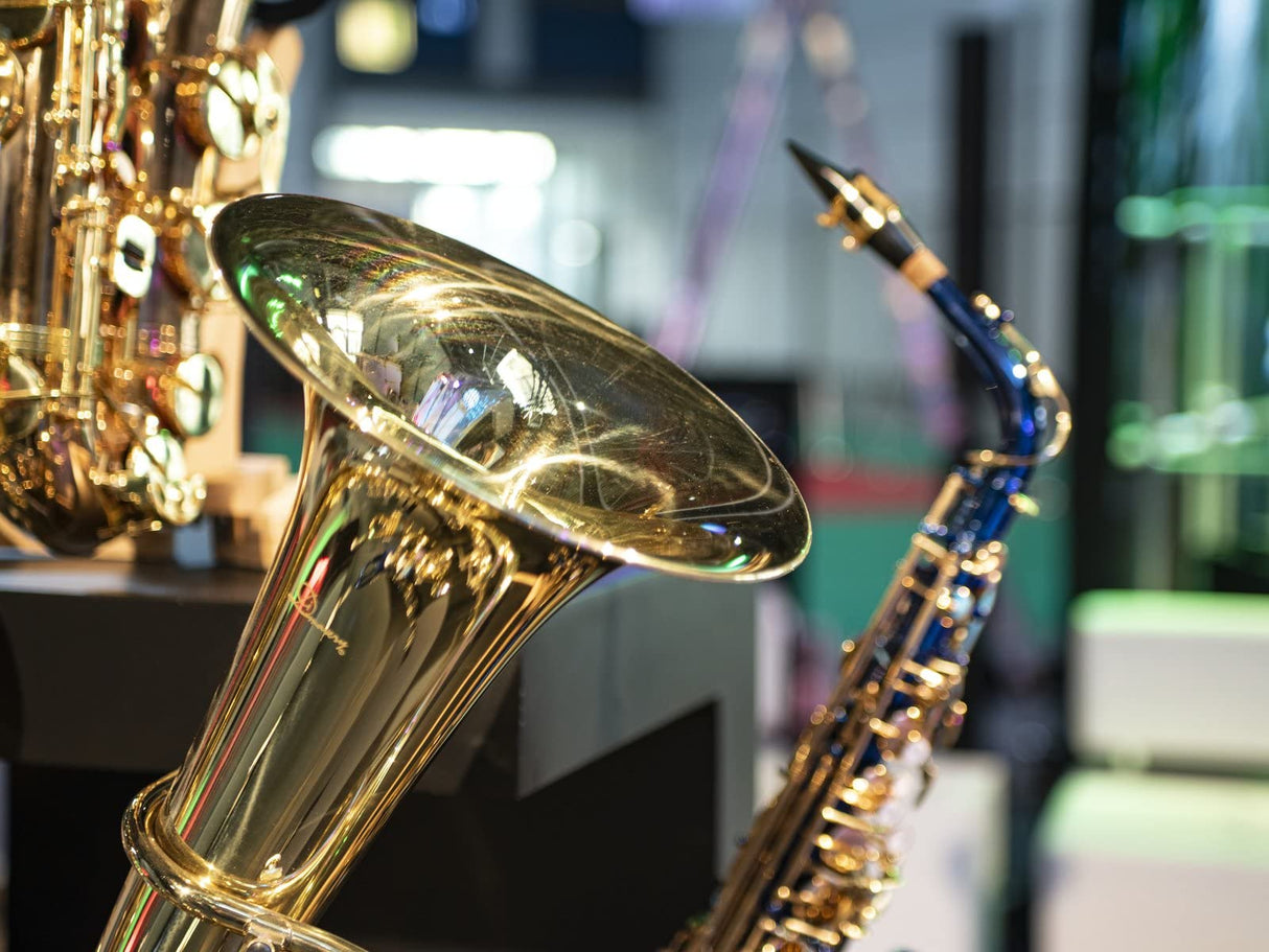 26502370 DIMAVERY SP – 30 EB Alto saxophone-blue
