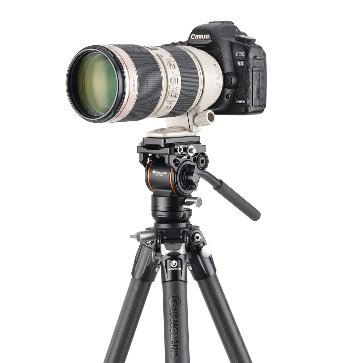 Vanguard Alta Pro 3VL 264CV14 - Trípode de vídeo de Carbono, rótula Veo PV-14 y Base niveladora