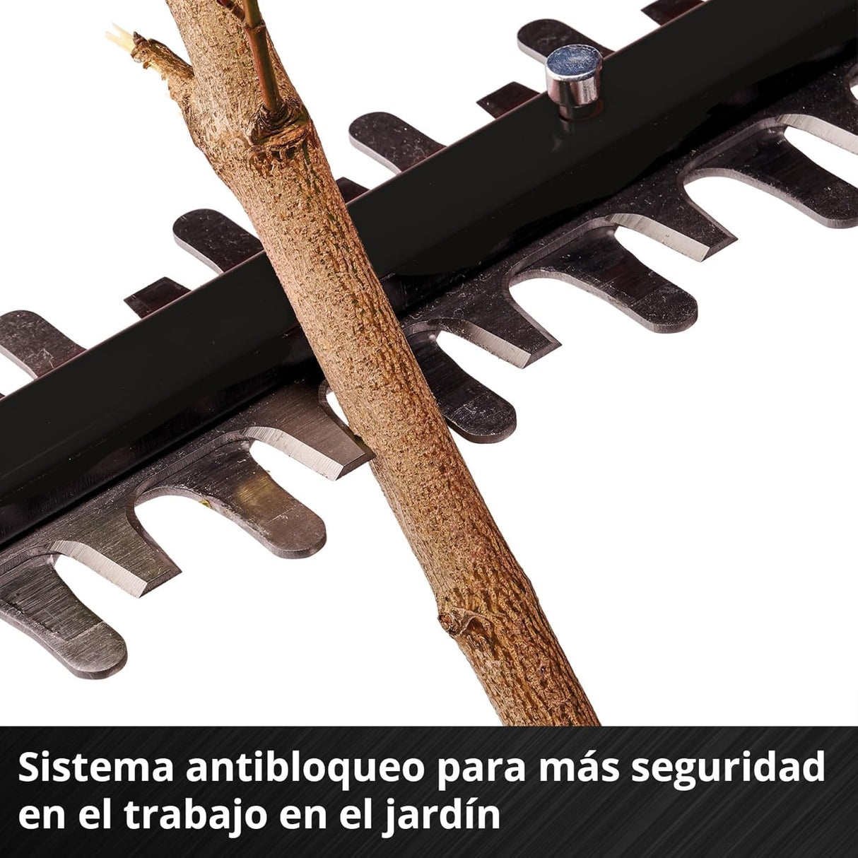 Einhell Professional Cortasetos telescópico con batería GP-HH 18/50 Li T BL-Solo Power X-Change (18V, longitud de corte 50 cm, distancia entre dientes 25 m, Brushless, 8 veces inclinable, sin batería)