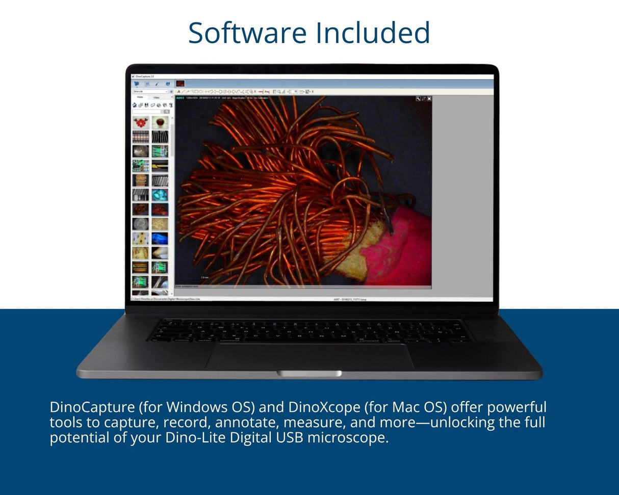 Dino-Lite AM4113ZT Microscopio USB digital con polarizador integrado