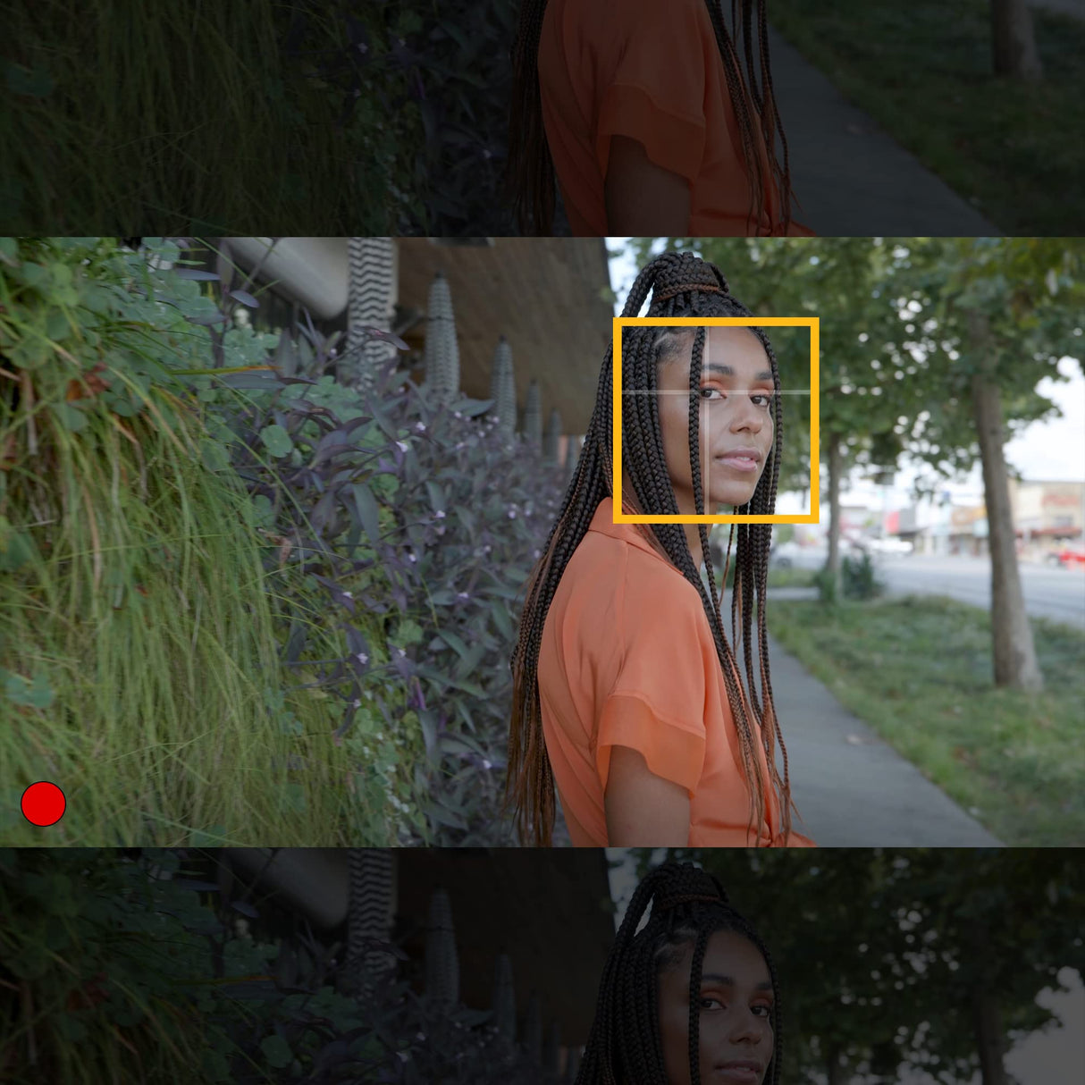 Panasonic LUMIX S PRO 50mm F/1.4 MILC Negro - Objetivo (MILC, 13/11, 0,44 m, 1,4 - 16, 5 cm, Panasonic)